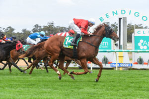 Cherry Ripe tipped for $1m win