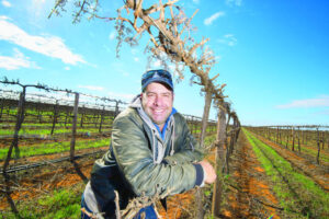 Wine price rise for Sunraysia varieties: That’s grape news…but don’t pop the cork just yet