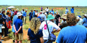 Rich history at Neds Corner Station