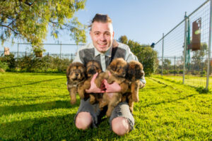 Puppy love: Breeders say changes ‘better late than never’