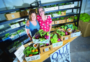 Cash goes round for producers