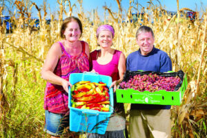 Organic produce  from paddock to your plate