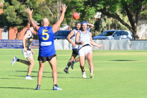 Swallows still hungry despite three of last four footy flags