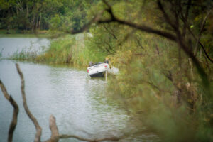 Ute rolls into Murray River