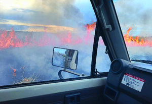 Crews fight scrub fire