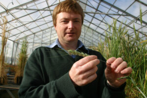 Stripe rust watch on for grain growers after new pathotype detected