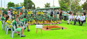 In the Classroom: Seedling grows a strong Gallipoli link