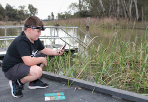 Call for frog watchers looking for ribbiting action