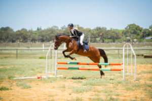 Mildura tri-series horse competition heats up