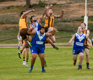 Winning trio rises above the rest