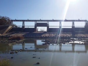 Disaster on the Darling: Get ready for ‘human impact’ on Darling River