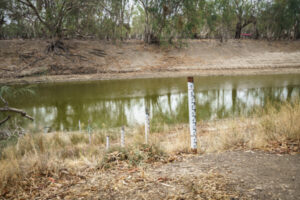 Testing the water: Federal Government ready for trading probe