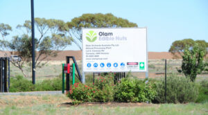 Canadian pension fund spends big on water, Robinvale almonds