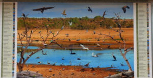 Stunning artwork to bring birdwatchers on board