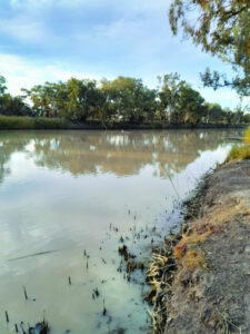 Flows increased to the Lower Darling