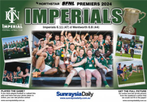 SFNL Grand Final 2024 mega posters