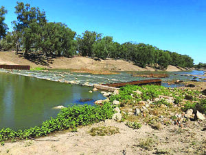 Darling flow keeps rolling