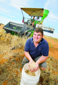 Rain boosts grain hopes