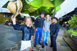 Music festival could face swan song