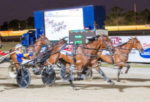 Missile targets Ballarat Cup