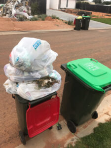 92% back weekly red bin collection, says online poll