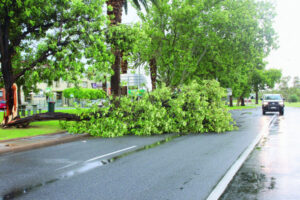 Not all is vine after damage