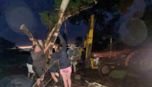 Thanks to hero strangers who tried to save beloved mare
