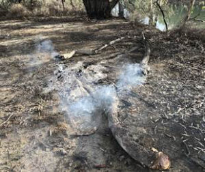 Illegal fires mar Hattah weekend