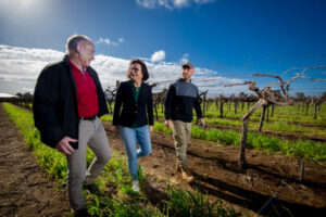 MPs, experts seek labour solutions