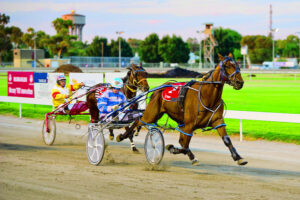 Daylight Dan still shining on track