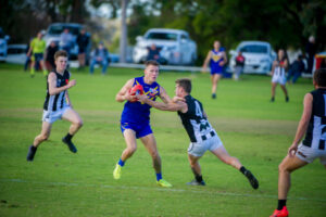 Young guns lift Swallows