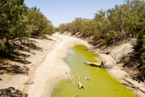Basin water harvest ban spurned by big parties, say Greens