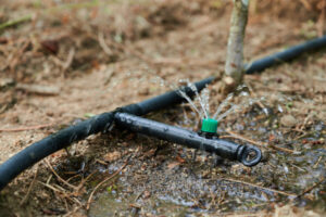 Water management courses on offer