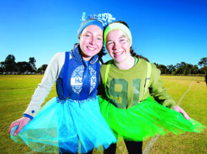 In the Classroom: Flying colours