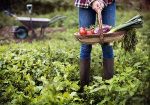 Call to dig into free soil tests