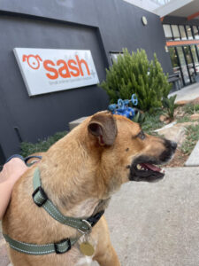 Round of a-paws for community support