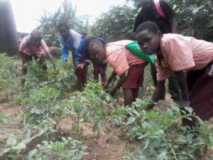 Food partners reach across world