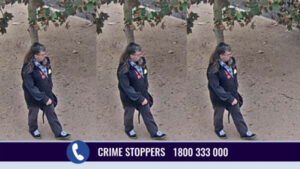 Thief captured on CCTV