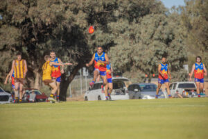 Lions hold off Hawks