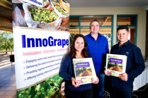 Workshop success: Table grape growers learn innovation practices