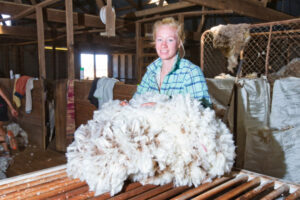Sheep stations playing for time as drought bites