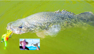 Cold, but fish aren’t on holiday
