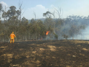 Meringur firefighters turn to Gippsland battle