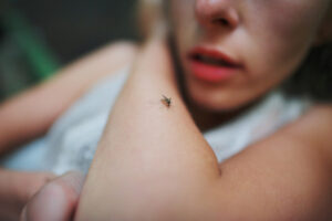 Pop-up JE virus vaccination clinic in Mildura next week