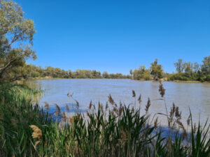 Basin water storages at 92 per cent