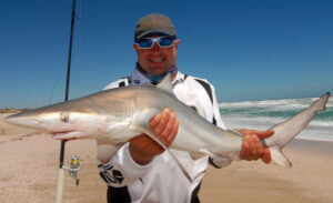 Cod Tales: Time for a sea change to escape inland heat