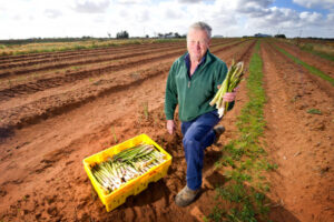 Asparagus weather tip