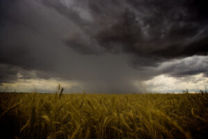 Rain dump on its way, Mildura to get a drenching