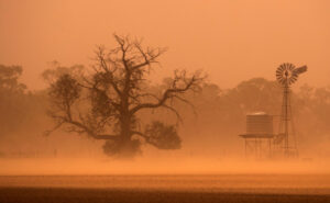 Learning to live with drought as climate changes