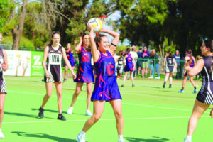 Demons’ off-court fun a boost, says Leng
